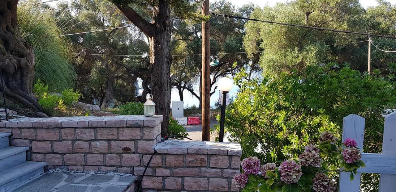 Diogenis Parga Studios Buitenkant foto