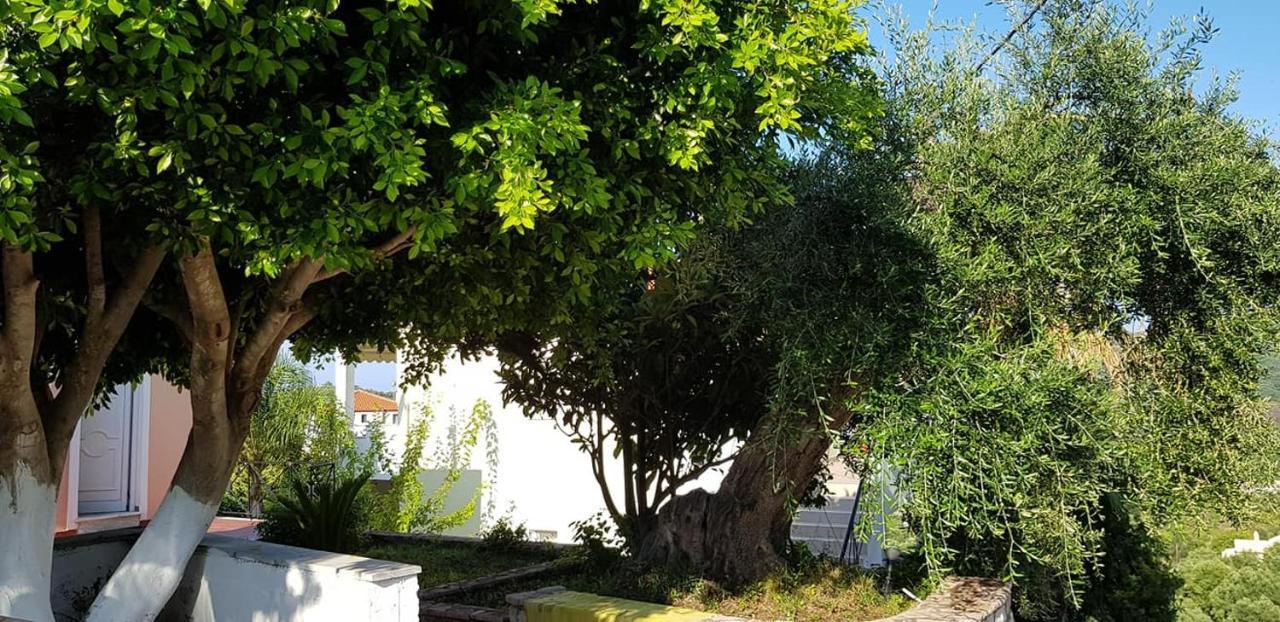 Diogenis Parga Studios Buitenkant foto