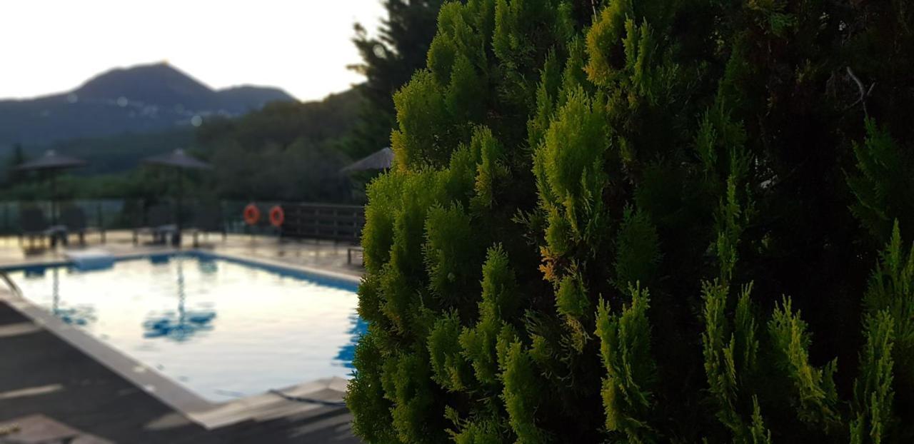 Diogenis Parga Studios Buitenkant foto