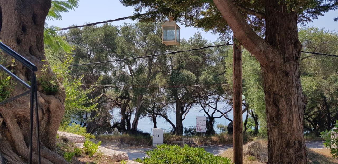 Diogenis Parga Studios Buitenkant foto